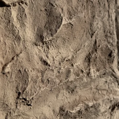 3D Wandpanelen Pu Coffee Canyon Detail 1